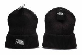 Picture for category The North Face Beanies